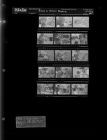 Back to School Feature (15 Negatives), August 28-31, 1967 [Sleeve 65, Folder c, Box 43]